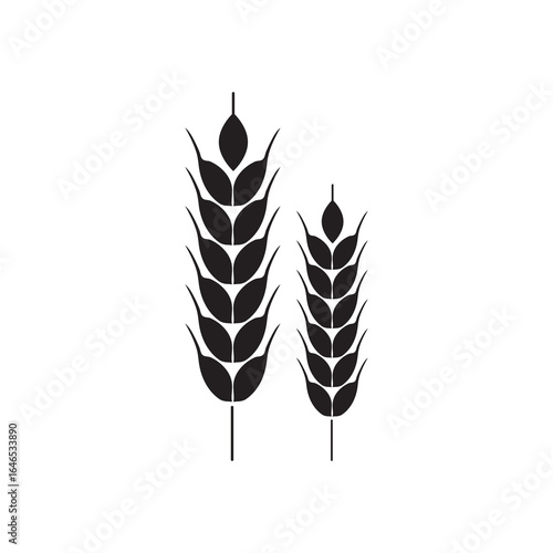 Wheat grain icon Isolated flat trendy style illustration for web and app..eps
