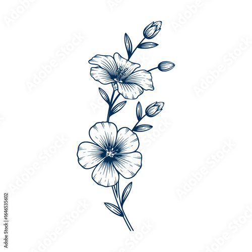 Blue flax flower hand drawn illustration. Blue flax flower vector line art