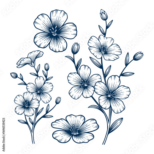 Set of blue flax flower hand drawn illustration. Blue flax flower vector line art collection