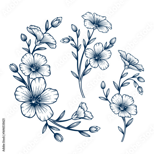 Set of blue flax flower hand drawn illustration. Blue flax flower vector line art collection