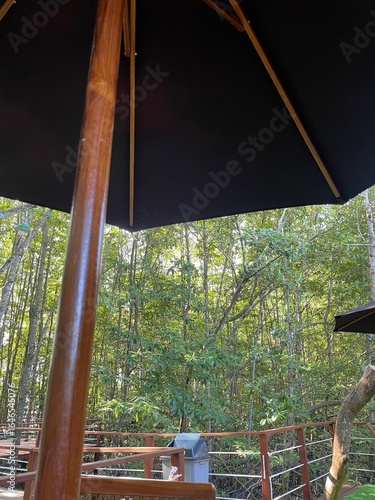 old wooden swing
