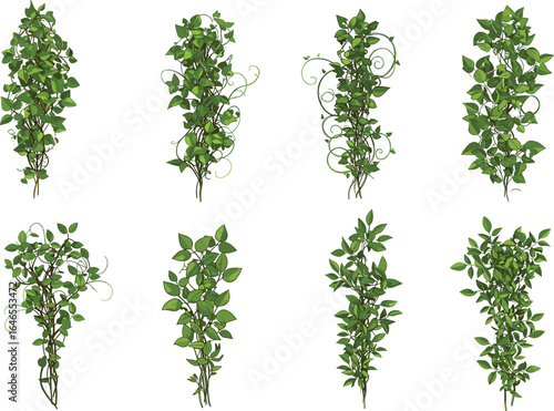 Green climbing vines vector bundle, tropical ivy foliage clipart, botanical jungle creeper plant, nature design elements, isolated illustrations set