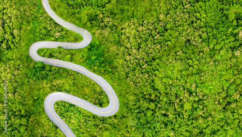 Photography Top view of road forest atmosphere area, Texture background forest tree view from above, Ecosystem ecology environment, Green forest and green tree