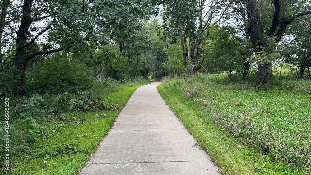 Obraz premium Trail Through the Woods