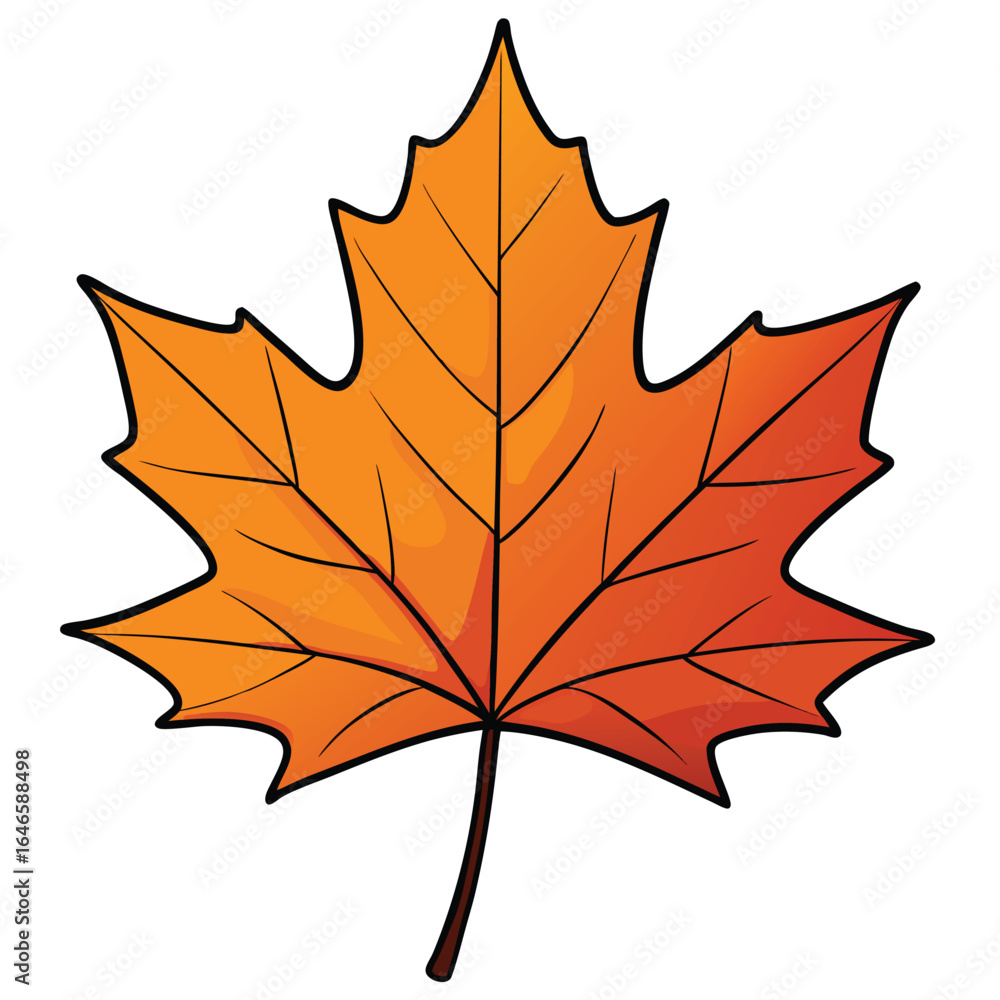 Fototapeta premium maple leaf isolated on white