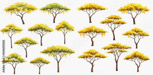 A collection of stylized acacia trees with vibrant yellow flowers and green leaves, presented in various shapes and sizes.