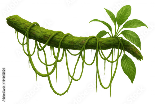 Fototapeta Naklejka Na Ścianę i Meble -  Green vines cascading over mossy branch, rendering verdant jungle backdrop with transparent overlay, ideal for natural design compositions