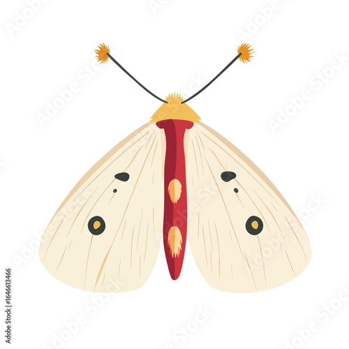 Creamy moth with red body and spiky antennae featuring dark circular wing spots