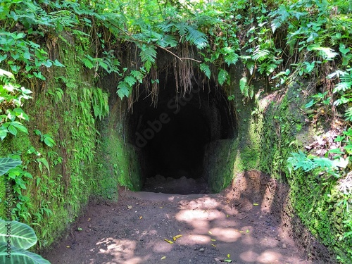 Mossy entrance of an old tunnel hidden in tropical forest, surrounded by dense green vegetation. A mysterious cave opening perfect for adventure or nature themes.
