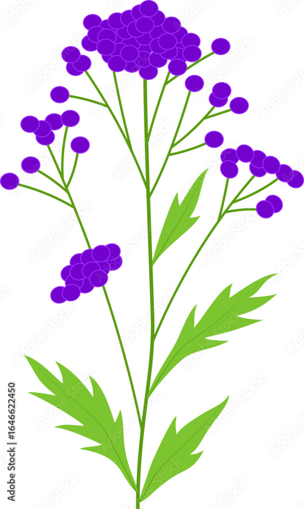 Fototapeta premium violet spring flower cartoon element