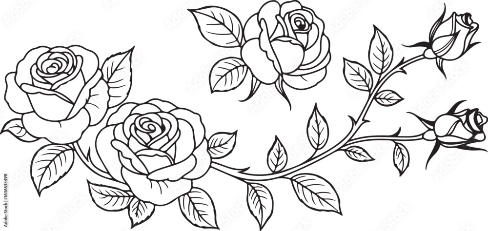 Fototapeta premium Rose Flower Silhouettes - Black and White Elegant Floral Illustrations