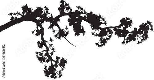 Silhouette of Bonsai Trees - Elegant Black and White Tree Illustrations