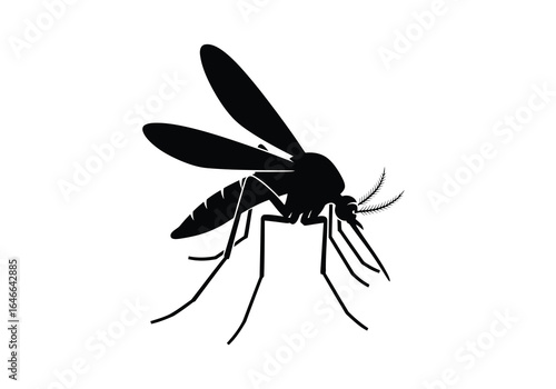 Vector illustration of photo of mosquito silhouette icon isolated on white background