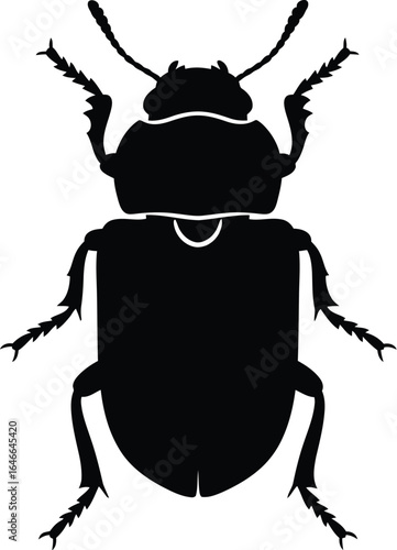 Silhouette of a beetle, showcasing its intricate details and unique features, a fascinating insect from the world of entomology, a symbol of nature