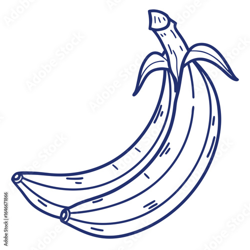 Hand drawn illustration of a bunch of bananas, isolated on white background
