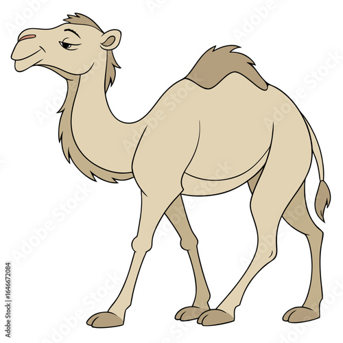 Cartoon camel isolated on white background