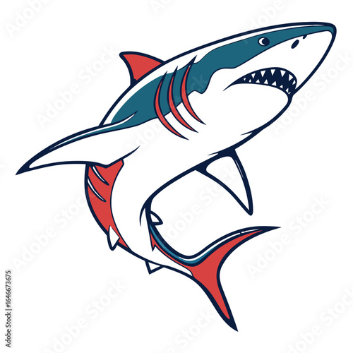 Shark illustration isolated on white background