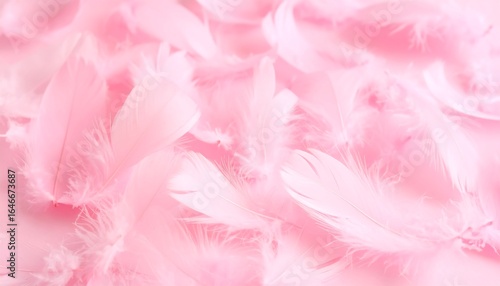 Soft pink feathers densely arranged, creating a delicate and airy texture