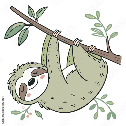 Cute sloth hanging from a tree branch isolated on white background