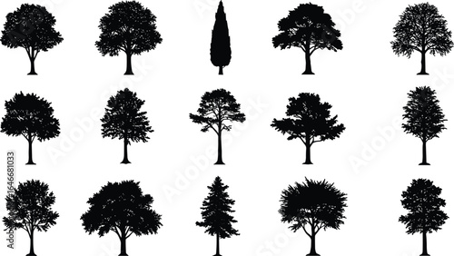 Tree silhouettes vector set, black tree shapes, isolated tree illustrations, natural forest elements, botanical plant outlines, landscape design collection