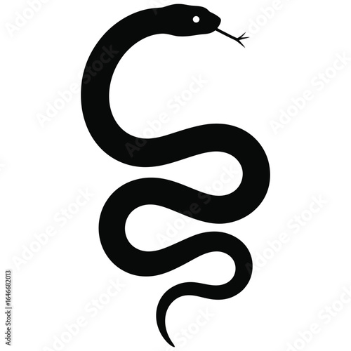 black and white snake