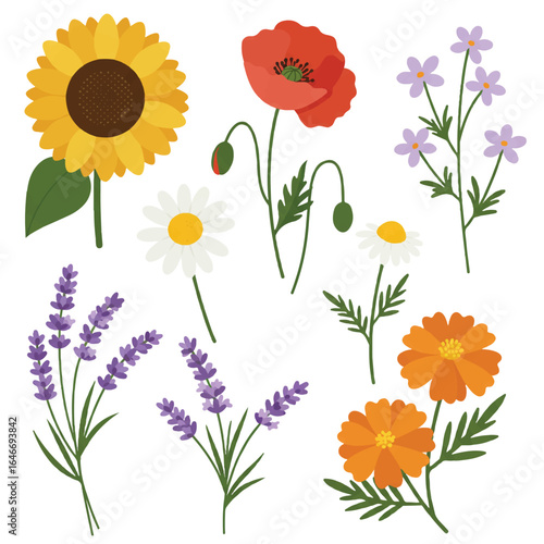 Vibrant flat vector set featuring diverse wildflowers: cheerful sunflowers, delicate poppies, charming daisies, fragrant lavender, and colorful marigolds, isolated on a white background.