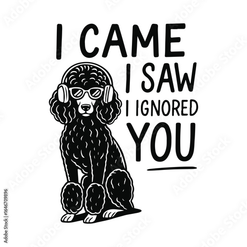 I Came I Saw I Ignored You