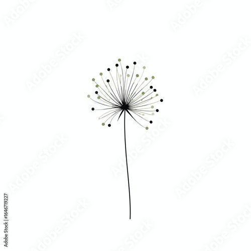 Stylized Dandelion Seed Head with Black Stem and GreenishGray Seed Pods