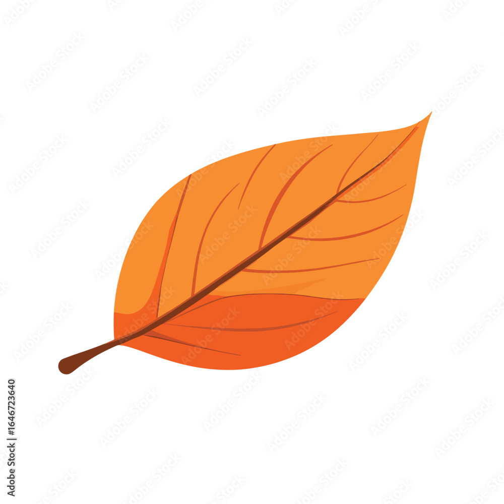 Fototapeta premium Vibrant Autumn Leaf with Detailed Veins and Warm Orange Hues (1)