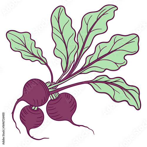 A hand-drawn illustration of a fresh bunch of beetroot vegetables with green leaves, isolated on a white background for healthy eating concepts.