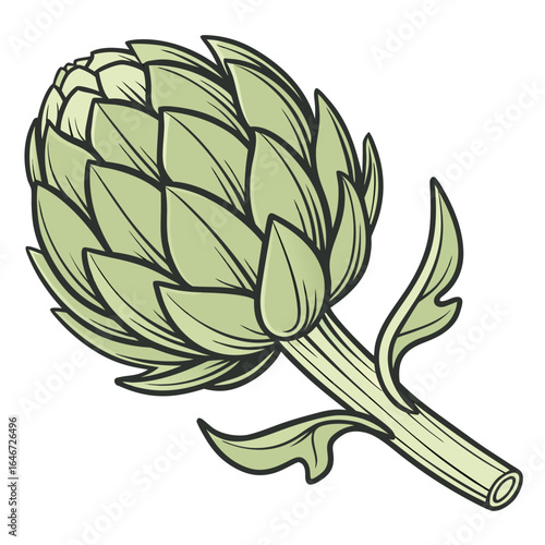 Detailed illustration of a fresh green artichoke vegetable on a stem, isolated on a white background. Botanical drawing for healthy eating concepts.