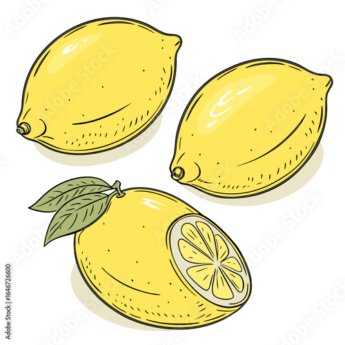 Set of fresh hand-drawn lemon fruits. Vector illustration of whole and sliced citrus with leaves in a vintage sketch style, isolated on white.
