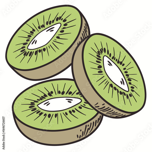 Hand-drawn illustration of fresh and juicy kiwi fruit slices. Healthy tropical food concept in a vintage sketch style.