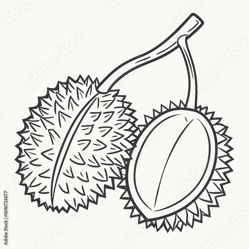 Black and white line art illustration of a durian fruit, showing one whole and one half-cut fruit with spiky husk on a stem.