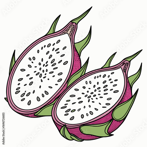 Vibrant illustration of a tropical dragon fruit cut in half, revealing the fresh white flesh and black seeds. Isolated vector art for healthy food concepts.