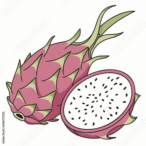 Vector illustration of a whole and halved dragon fruit, a vibrant pink pitaya showcasing its white pulp and black seeds for healthy eating concepts.
