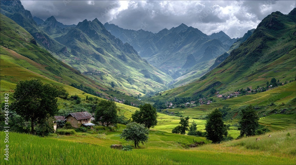 Fototapeta premium Verdant Valley Vista