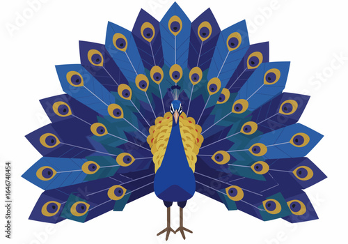 Stylized Peacock with Open Feathers Display