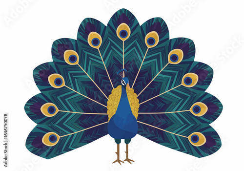 Stylized Peacock with Elaborate Feather Display Illustration