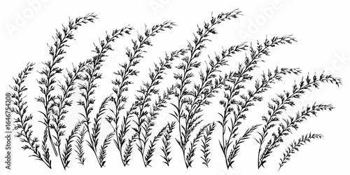 Vector illustration of several black and white grass plants swaying slightly in the same direction on white background