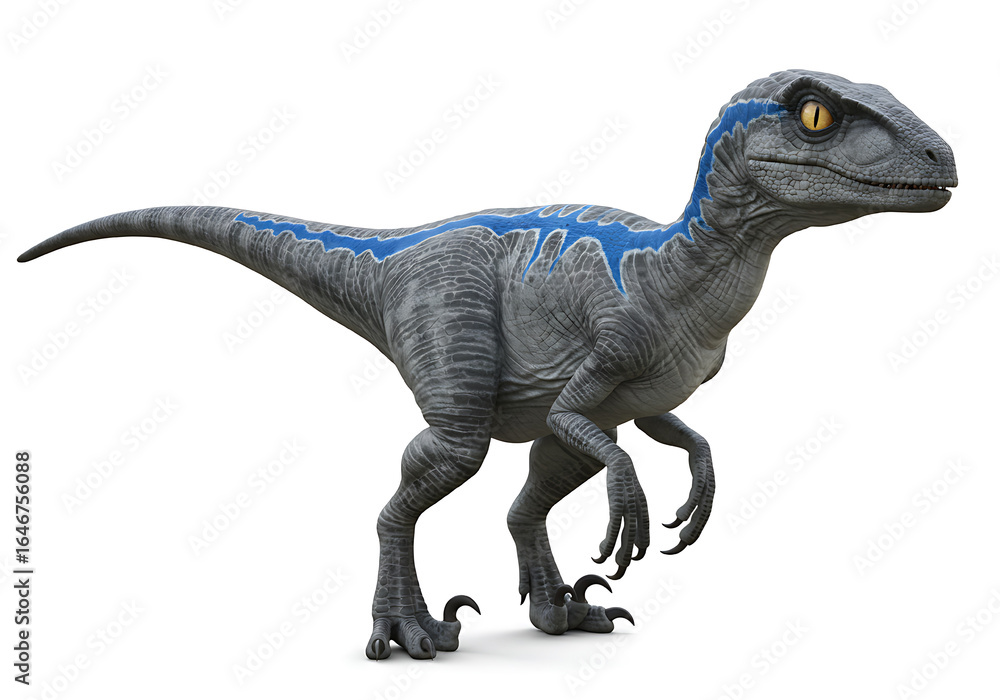 Fototapeta premium Realistic 3D rendering of a blue Velociraptor dinosaur, full body on a white background.