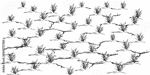 Vector illustration of cracked earth with sparse vegetation in black and white monochrome landscape art style