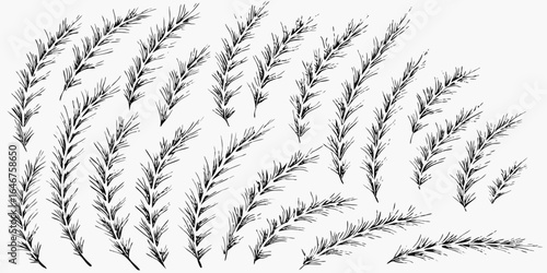 Vector illustration of multiple black and white stylized branches with short needles arranged randomly on white