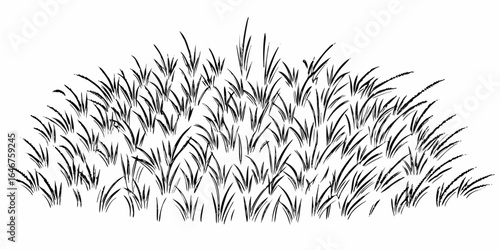 Vector illustration of a dense patch of hand drawn grass blades in black and white on a plain background