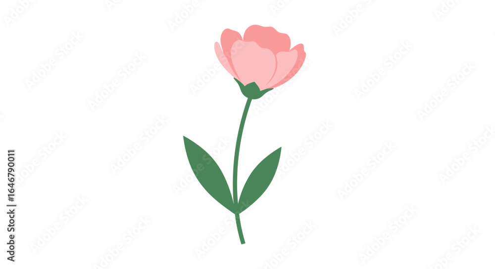 Fototapeta premium A single delicate pink flower with green leaves on a white background illustration