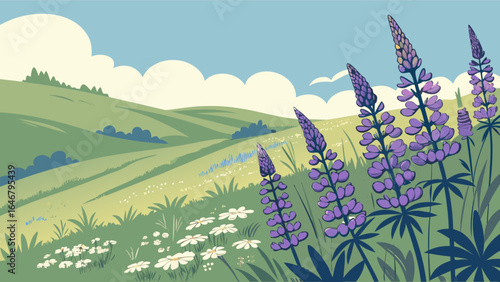 Beautiful lupine flower field landscape illustration with rolling hills and cloudy sky scenery image