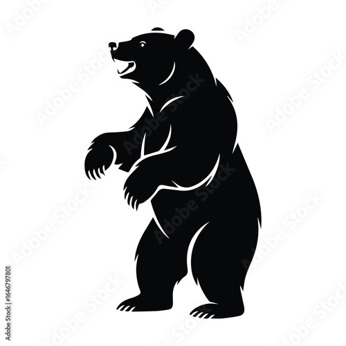 A bear standing on hind legs front paws raised isolated on pure