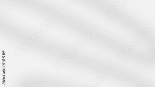 Realistic shadow with effect like plant shadow on the wall. Natural shine. High quality overlay light effect.
