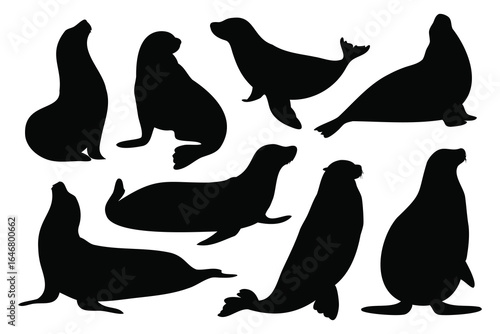 Seal animal silhouettes set isolated flat vector illustration on white background