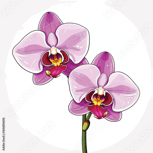 Elegant Pink Orchid Flowers Vibrant Floral Vector Illustration For Botanical Designs Springtime Themes And Delicate Beauty Projects